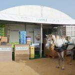 fian-foire-internationale-agricole-du-nord-senegal-agriculture-edition-2025 (18)